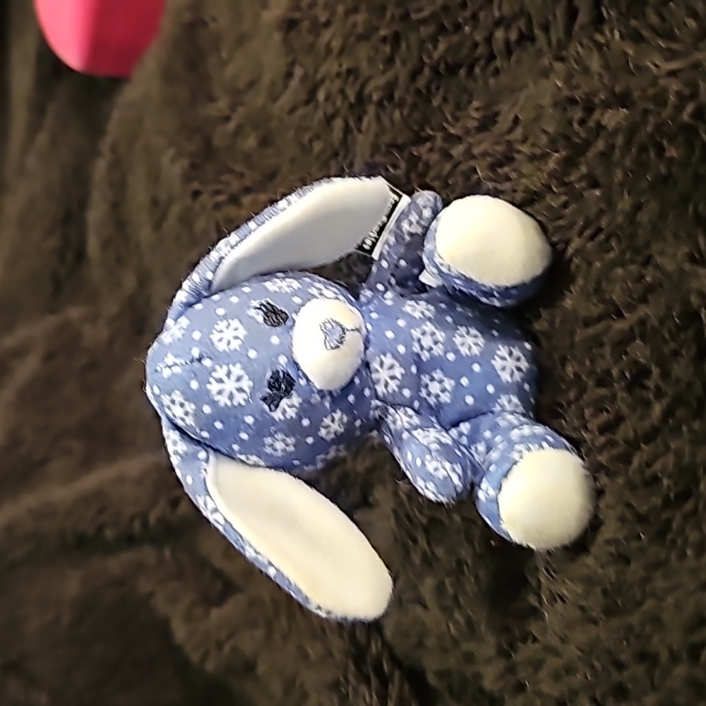Bunny rabbit